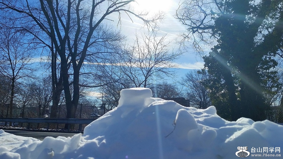 20150129_101908_conew1.jpg