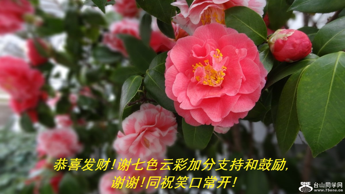 ϲ!лɫƲʼӷֺ֧͹,лл!ͬףЦڳ!.jpg