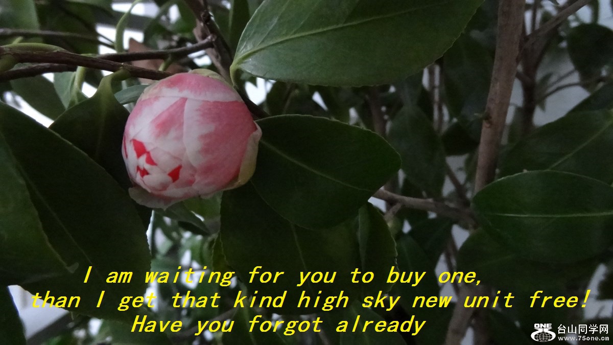 I am waiting for you tobuy one,than I get that kind high sky new unit free!Have you forgot already.