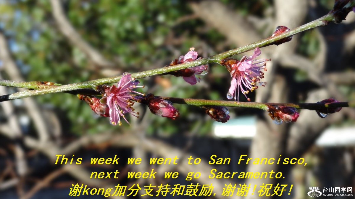 This week we went San Francisco,next week we go Sacramento.лkongӷֺ֧͹,лл!ף!.jpg