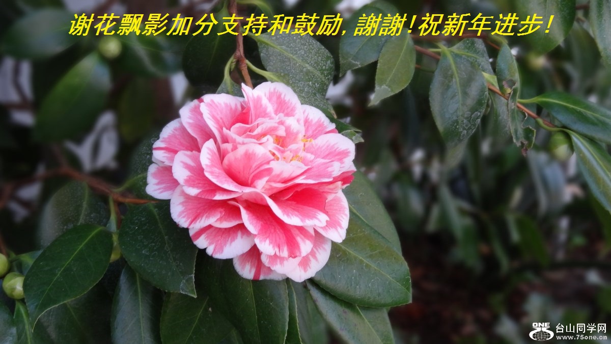 лƮӰӷֺ֧͹,xx!ף!.jpg