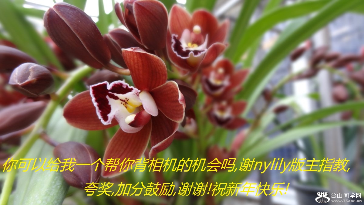 Ըһ㱳Ļ,лnylilyָ,佱,ӷֹ,лл!ף!.jpg