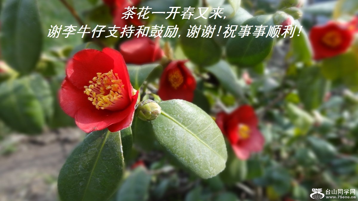 軨һ,лţֺ֧͹,лл!ף˳!.jpg
