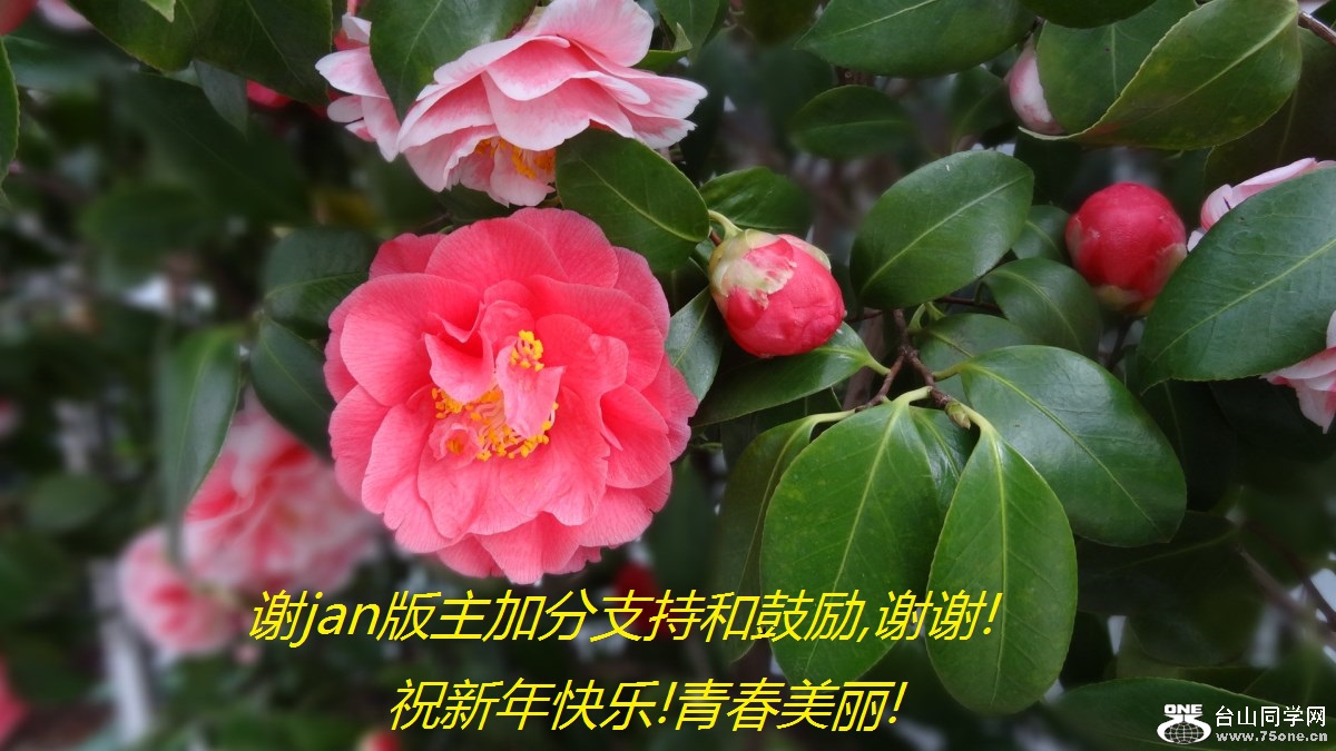 лjanӷֺ֧͹,лл!ף!ഺ!.jpg