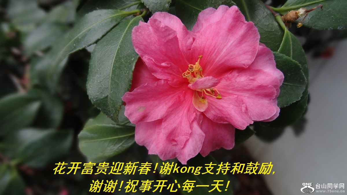 ӭ´!лkongֺ֧͹,лл!ף¿ÿһ!.jpg