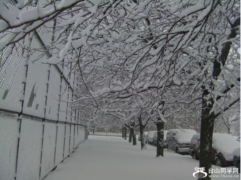 Snowing in Chicago