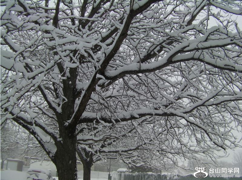 Snowing in Chicago