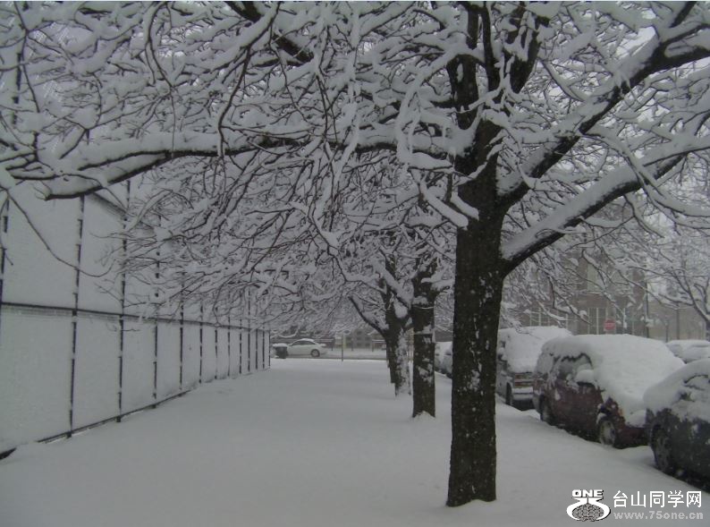 Snowing in Chicago