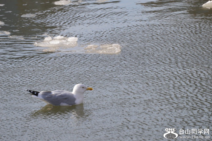 DSC_0718.JPG