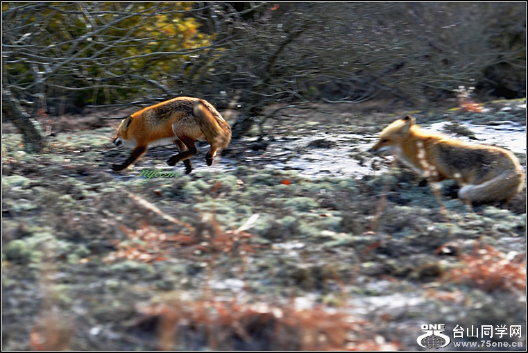 DSC_8216.jpg