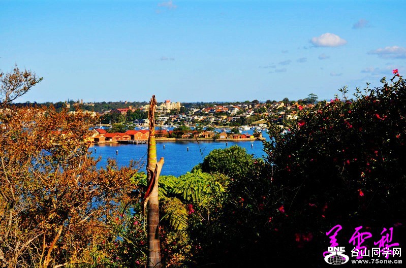 DSC_3297_conew1.jpg