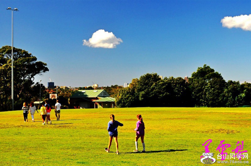 DSC_3293_conew1.jpg