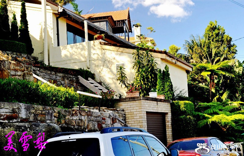 DSC_3303_conew1.jpg