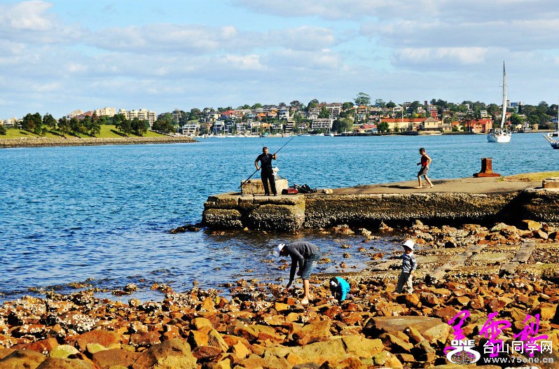 DSC_3261_conew1.jpg