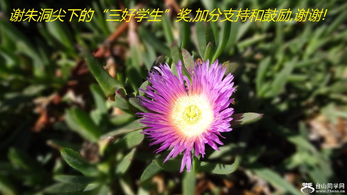 л춴µġѧ,ӷֺ֧͹,лл!.jpg