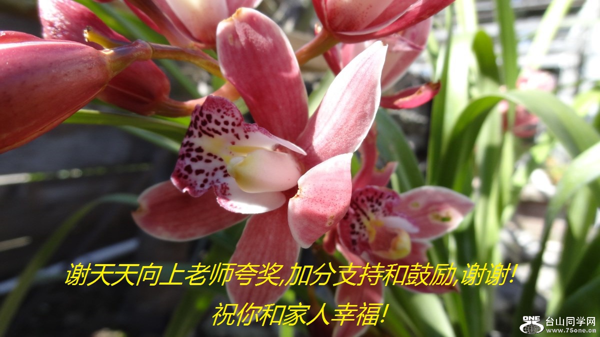 лʦ佱,ӷֺ֧͹,лл!ףͼҸ!.jpg