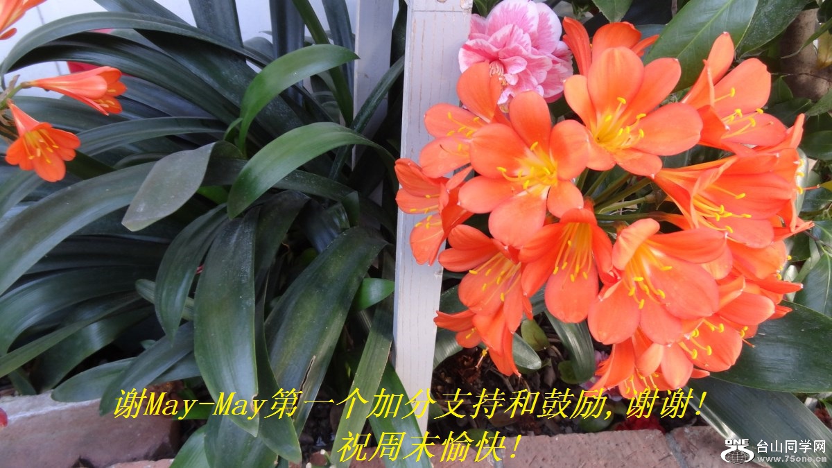 лMay-Mayһӷֺ֧͹,лл!ףĩ!.jpg