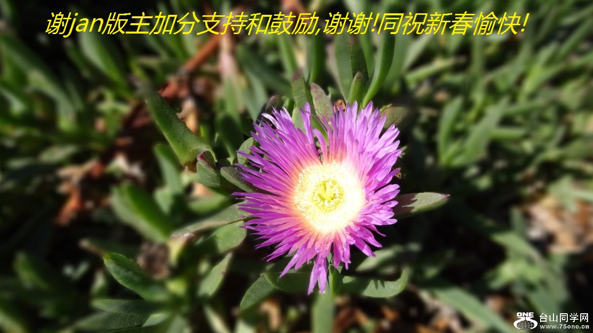 лjanӷֺ֧͹,лл!ͬף´!.jpg