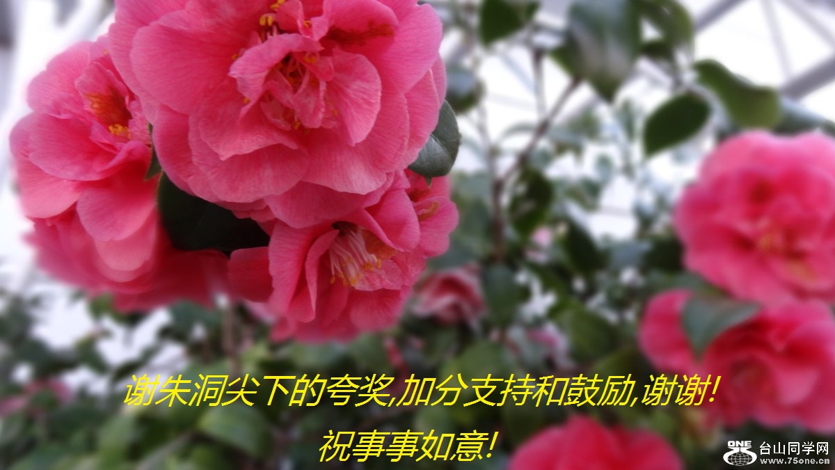 л춴µĿ佱,ӷֺ֧͹,лл!ף!.jpg