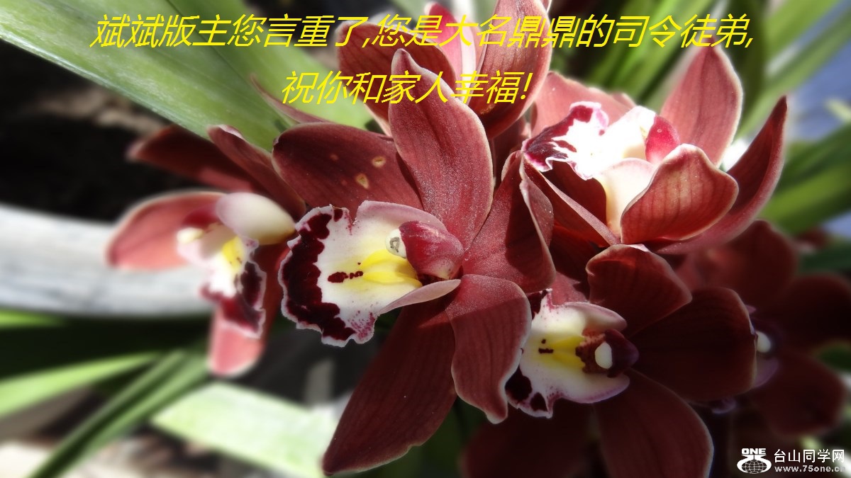 ,Ǵ˾ͽ,ףͼҸ!.jpg