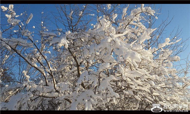 20150306_071746_.jpg