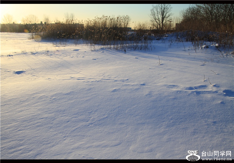 IMG_3599_.jpg