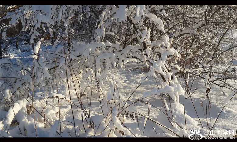 20150306_071740_.jpg