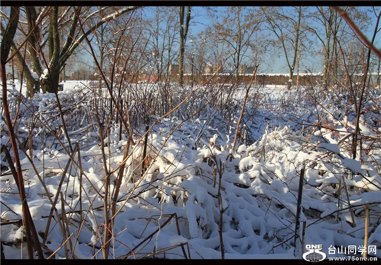 IMG_3697_.jpg