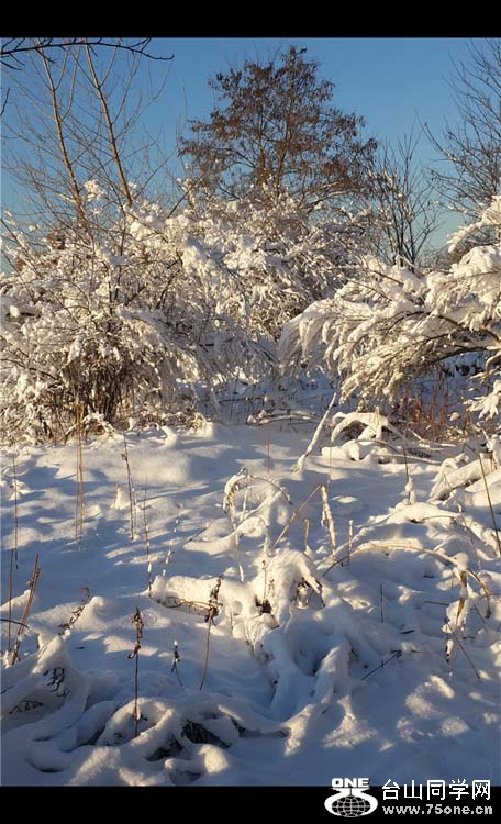 20150306_071125_.jpg