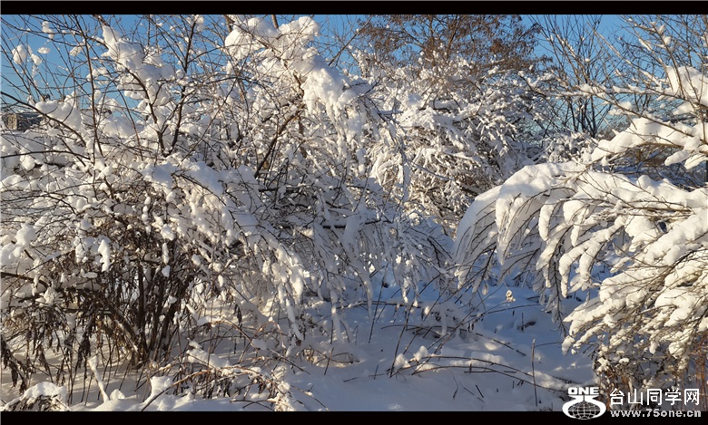 20150306_071213_1_.jpg