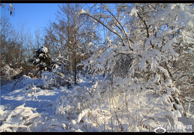 IMG_3628_.jpg