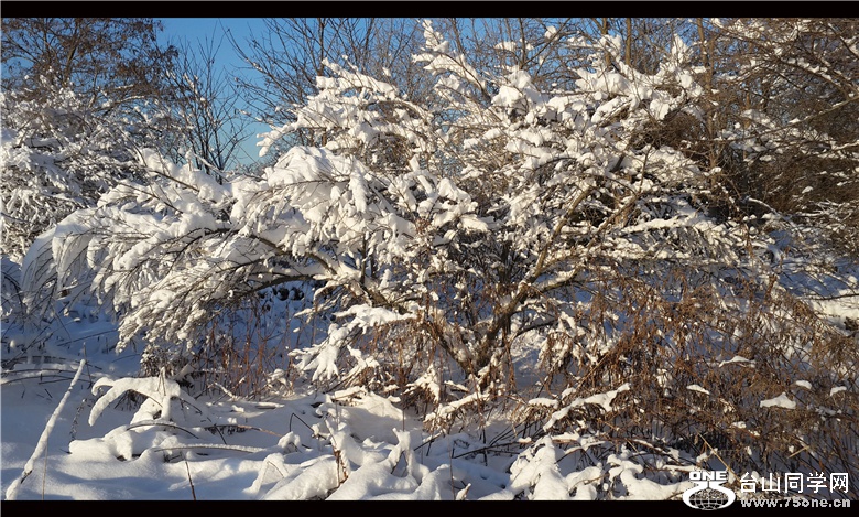 20150306_071203_.jpg