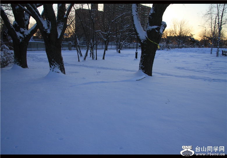 IMG_3584_.jpg