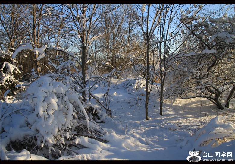 IMG_3637_.jpg