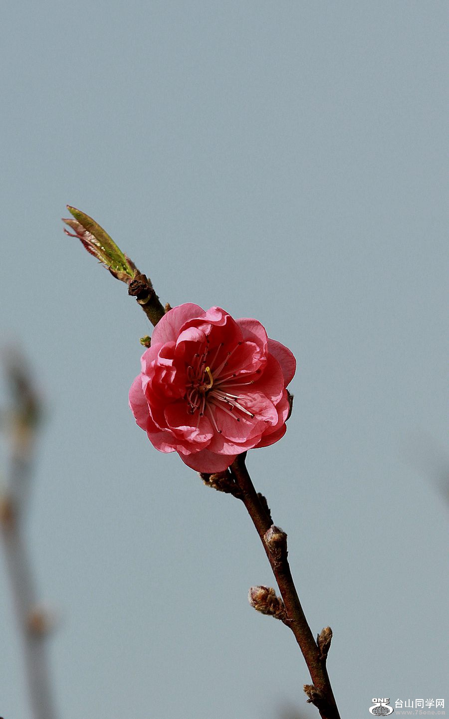 IMG_7778.JPG