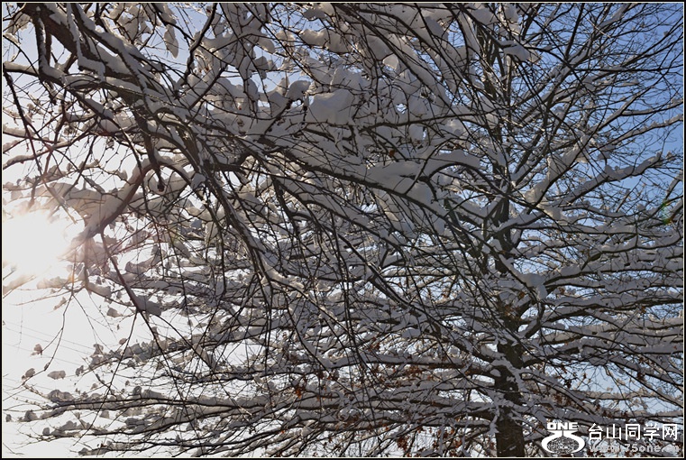 DSC_2451.jpg