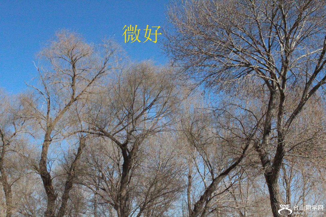 IMG_5626_.jpg