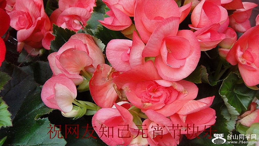 DSC01269__.jpg