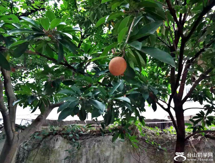 psb_meitu_21.jpg