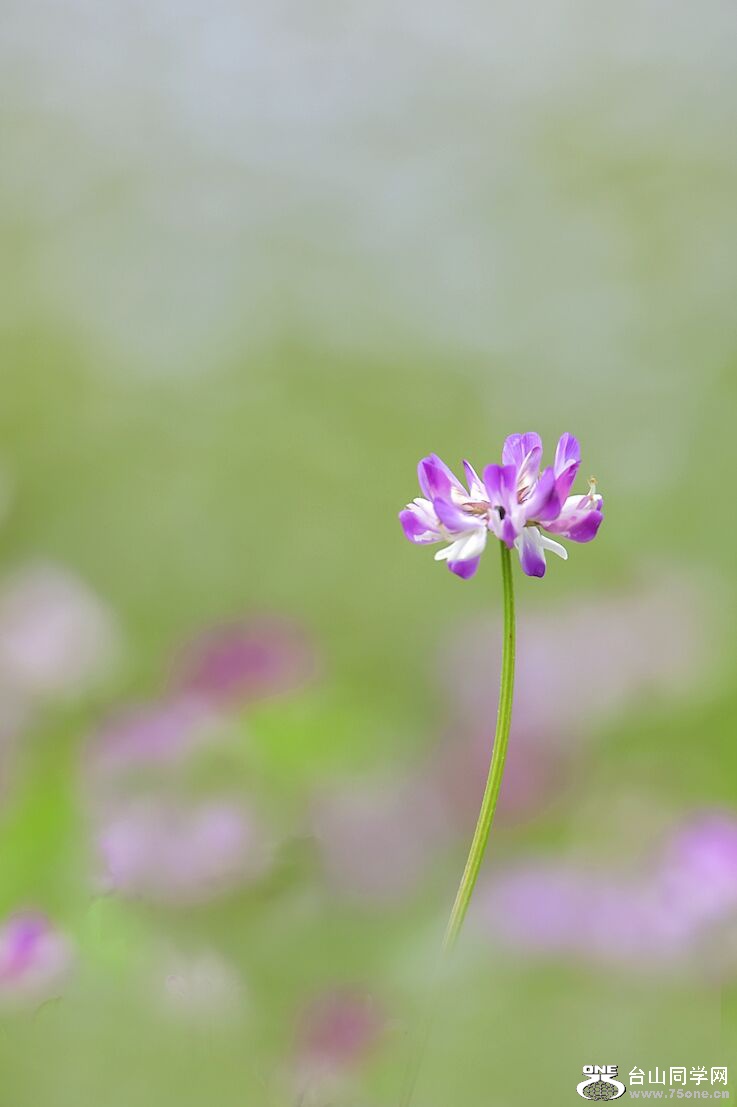 QQͼƬ20150205165818.jpg