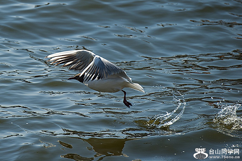 301_7347aa.jpg