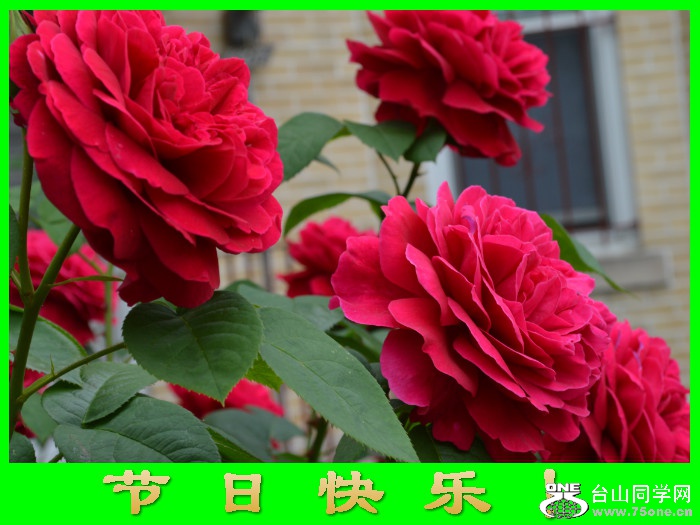 δ_meitu_15.jpg
