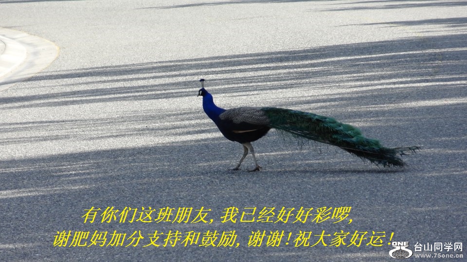 ,Ѿúòʆ,лӷֺ֧͹,лл!ףҺ!.jpg