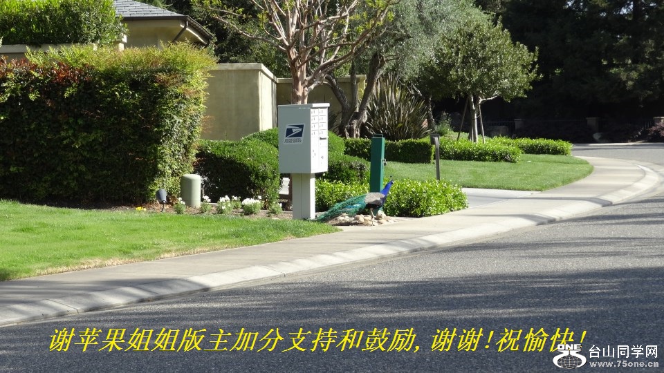 лƻӷֺ֧͹,лл!ף!.jpg