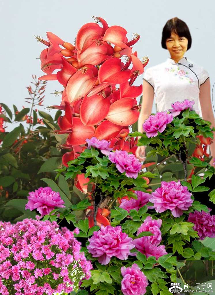 001_conew33.jpg