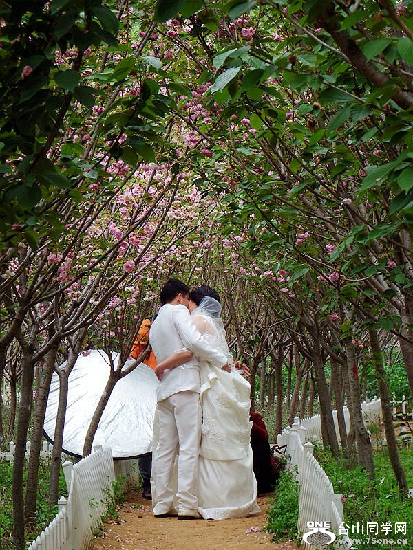 DSCF3636.jpg