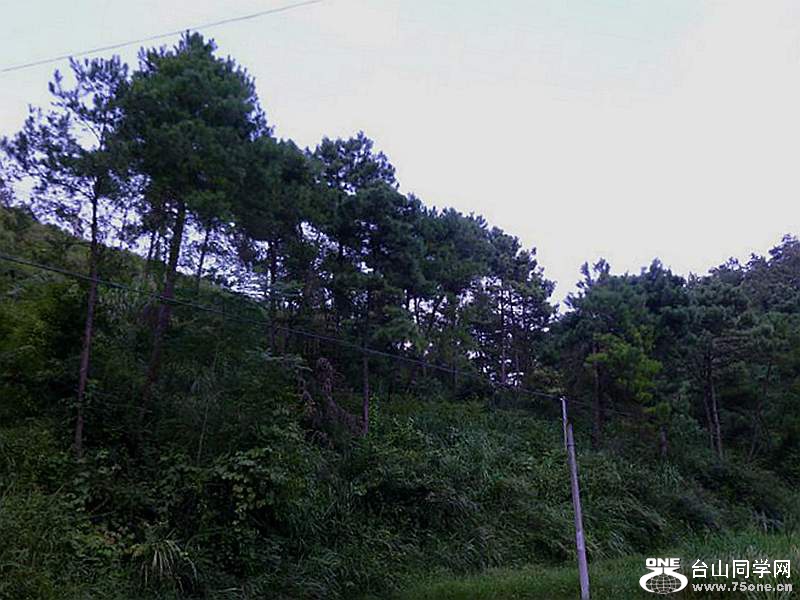 P1100072.jpg