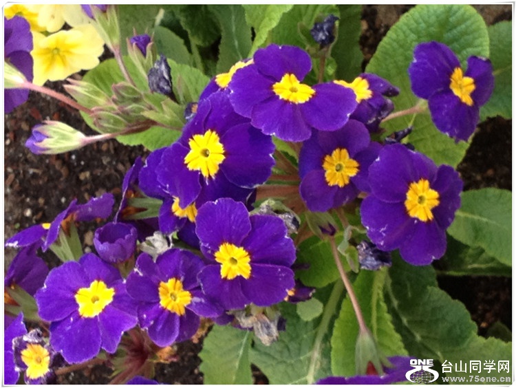 ��Ƭ (11)_����.jpg