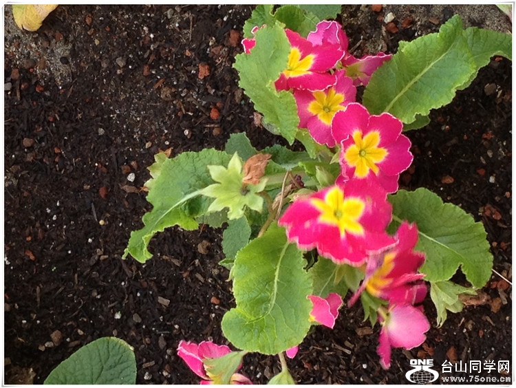 ��Ƭ (10)_����.jpg