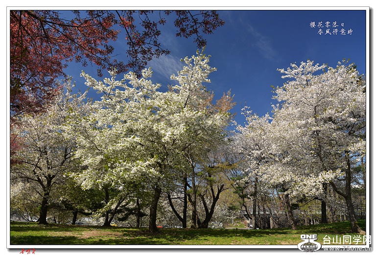 ӣ����2015�� 030_����.jpg